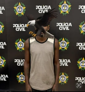 Operação Rede Segura 02OUT25